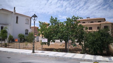 Olula del RíoTerreno, imatge 3