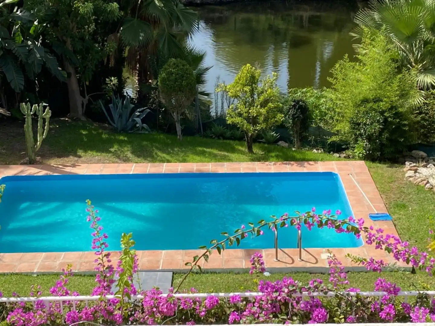 Piscina de Casa o xalet de lloguer en Marbella