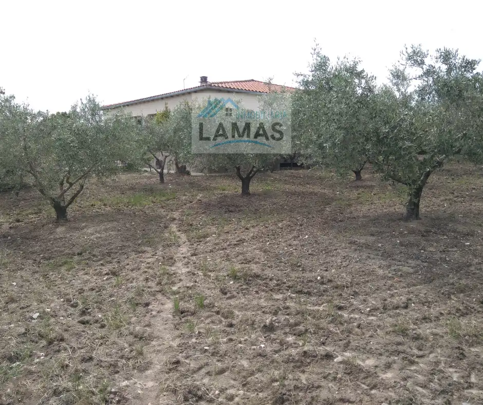 Casa rústica amb jardí en venda a Talayuela, imagen 3