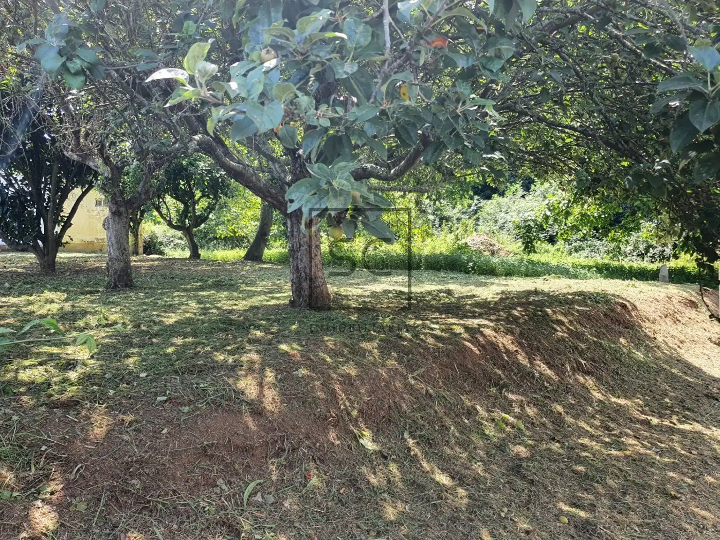 Residencial en venda en Fene