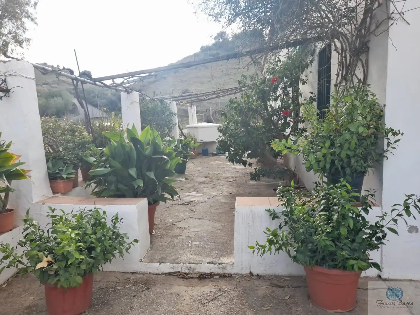Jardí de Finca rústica en venda en Mijas