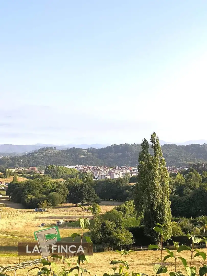 Vista exterior de Casa o xalet en venda en Siero amb Calefacció, Parquet i Terrassa