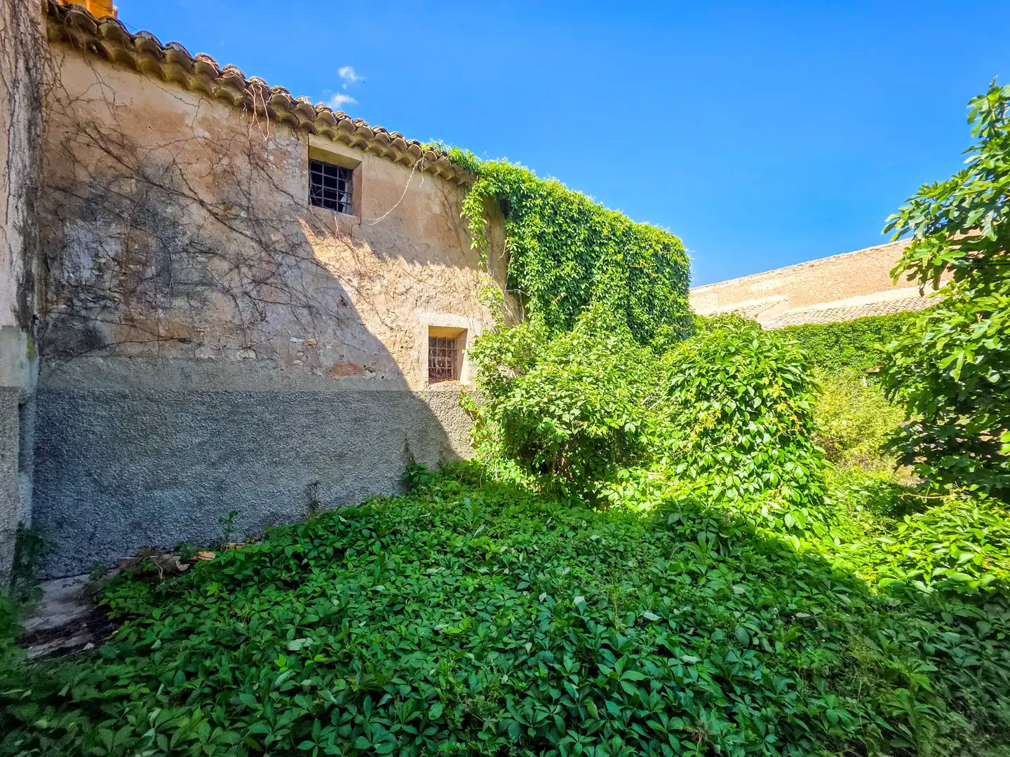 Casa rustica in vendita a El Pinós / Pinoso, imagen 41