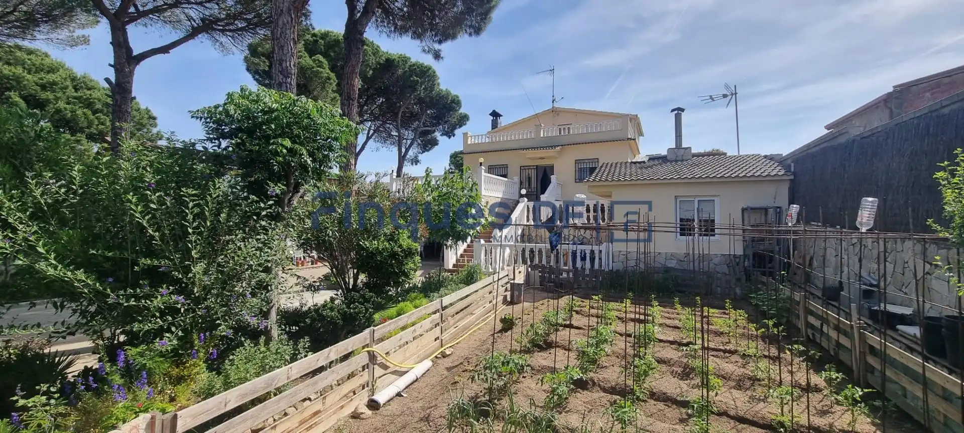 Villa à vendre à La Goba, imagen 3