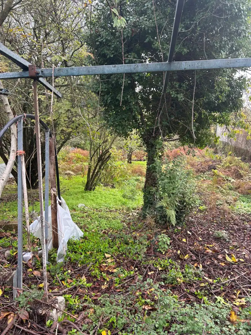 Country homes for sale in San Amaro, Ourense