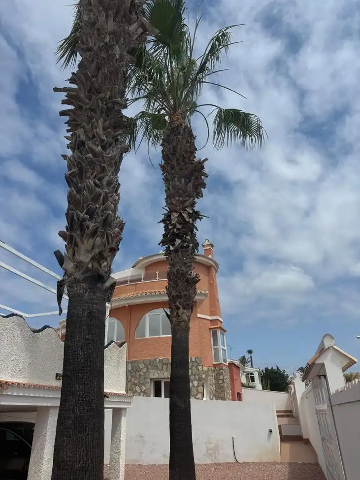 Casa con piscina en venta en Almoradí