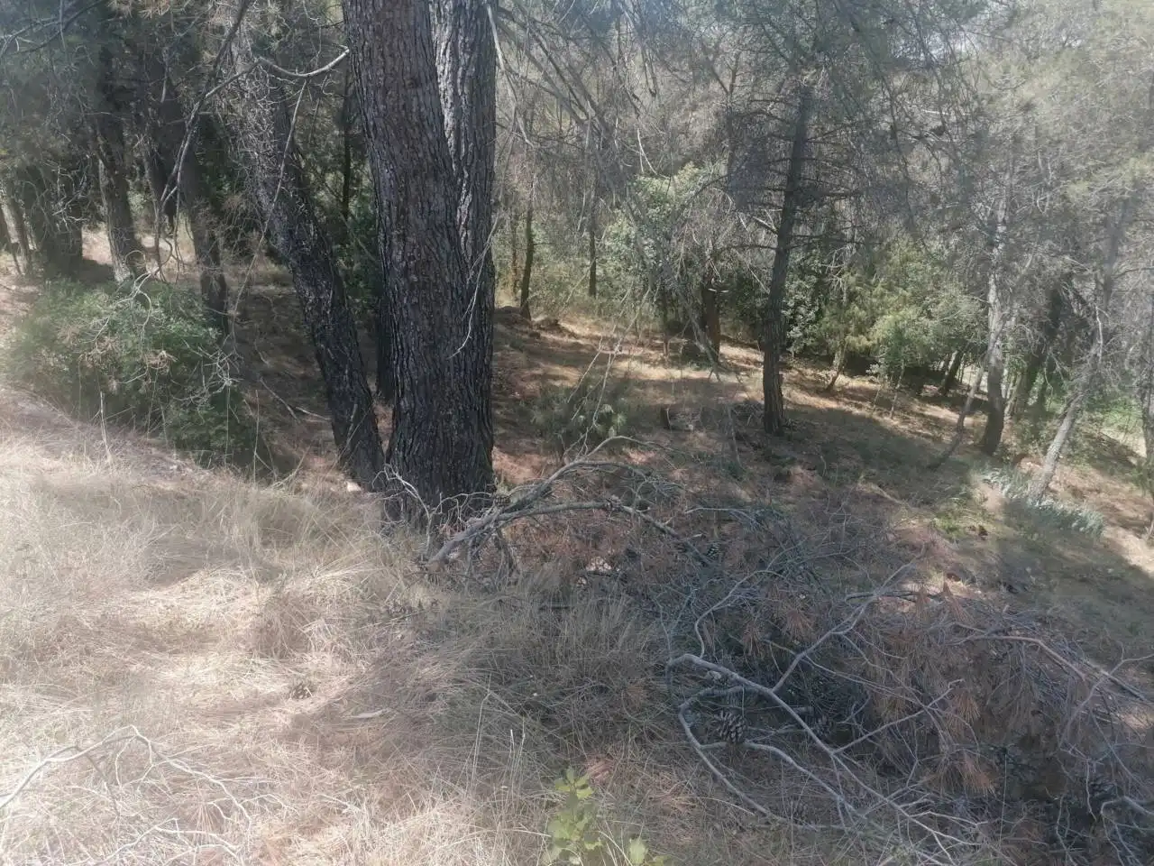 Residential zum Verkauf in Calle Romaní, 26, Sant Llorenç Savall