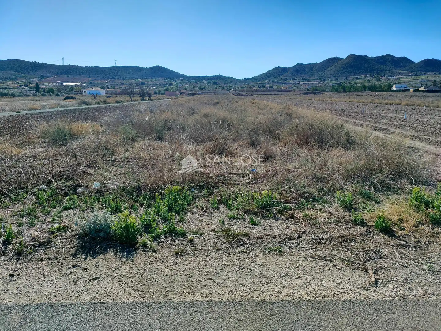 Terreno rustico in vendita a Hondón de los Frailes, imagen 3