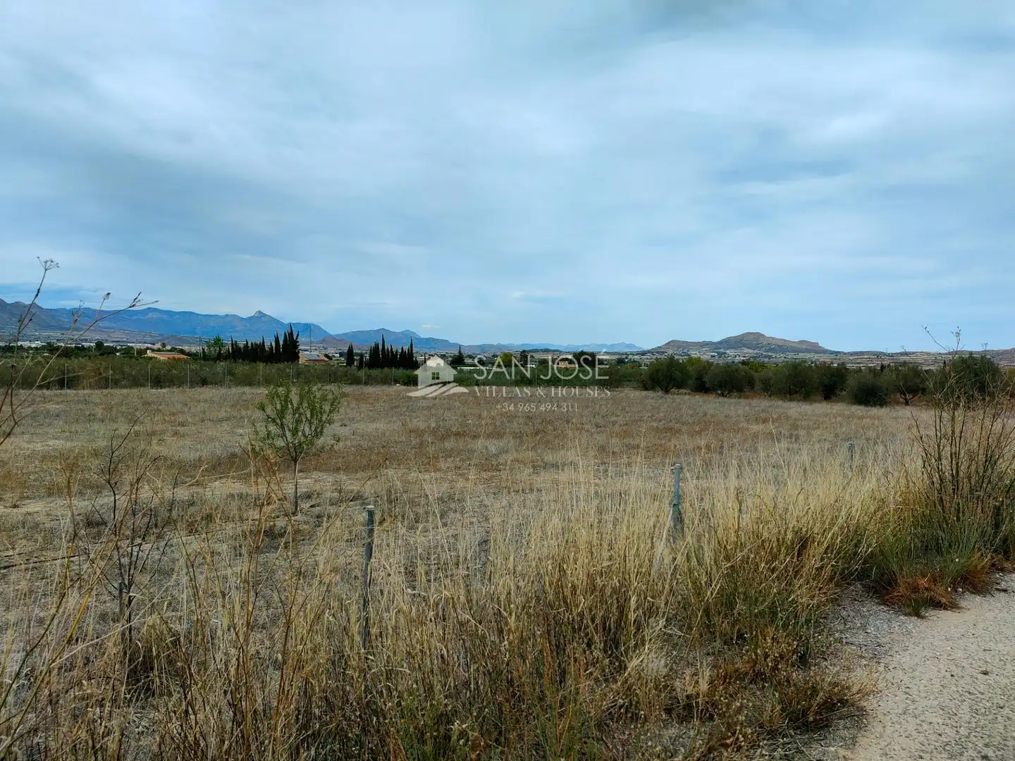 Houses for sale in Aspe