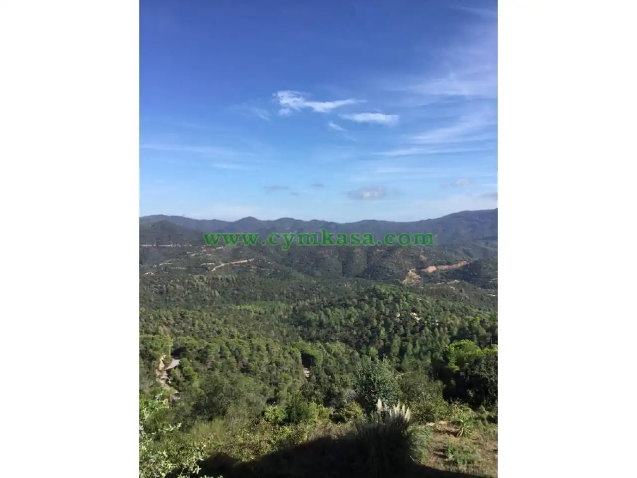 Terreny rústic en venda a Lloret Verd - Els Pinars, imagen 7