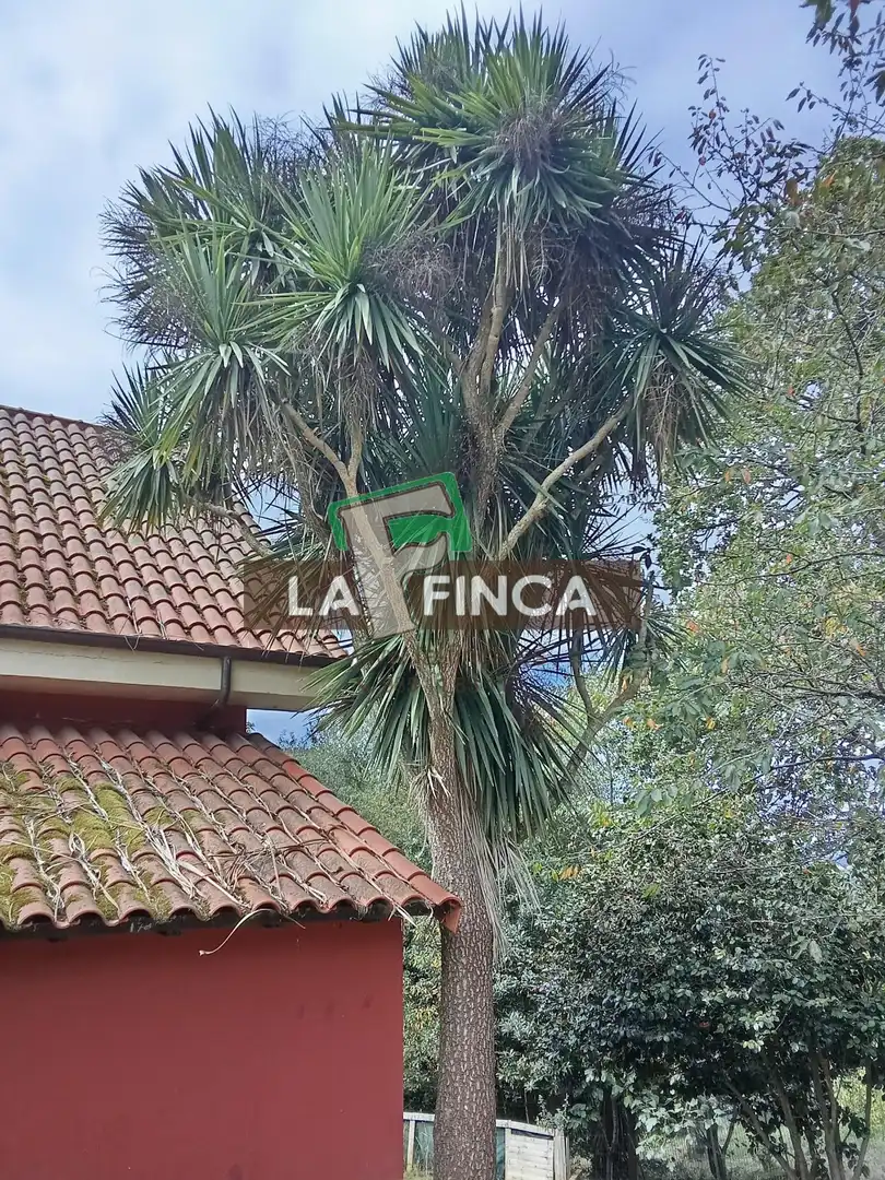 Casa o chalet en venta en Noreña con Calefacción, Terraza y Trastero