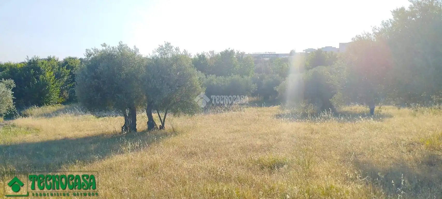 Terreni e lotti in vendita a Méntrida, imagen 9