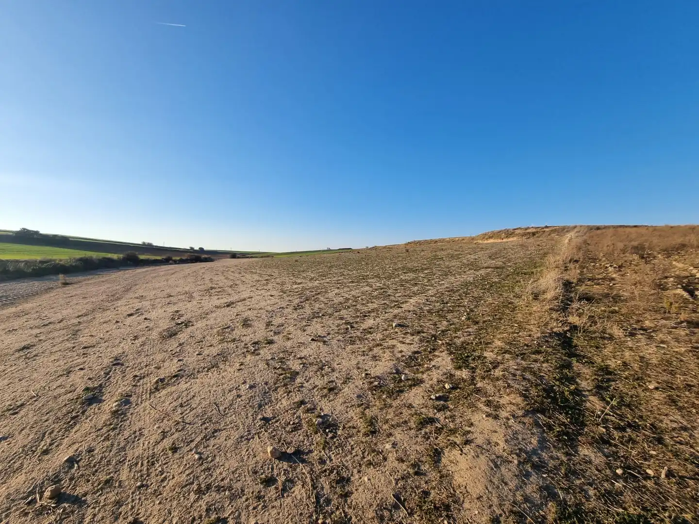 Rural land for sale in El Álamo, imagen 14