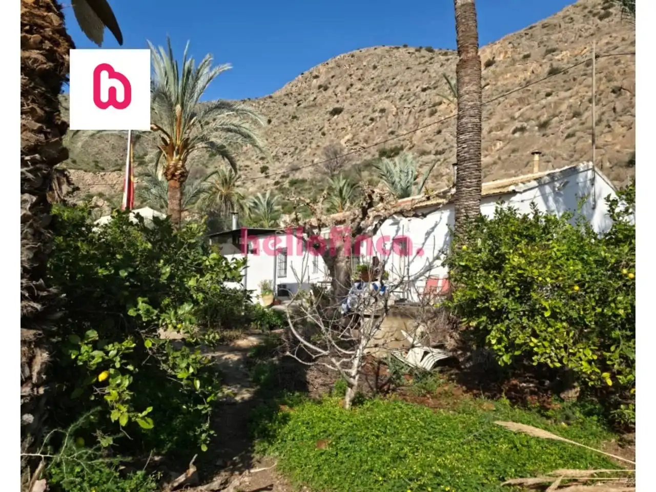 Vista exterior de Finca rústica en venda en Orihuela amb Aire condicionat, Calefacció i Jardí privat