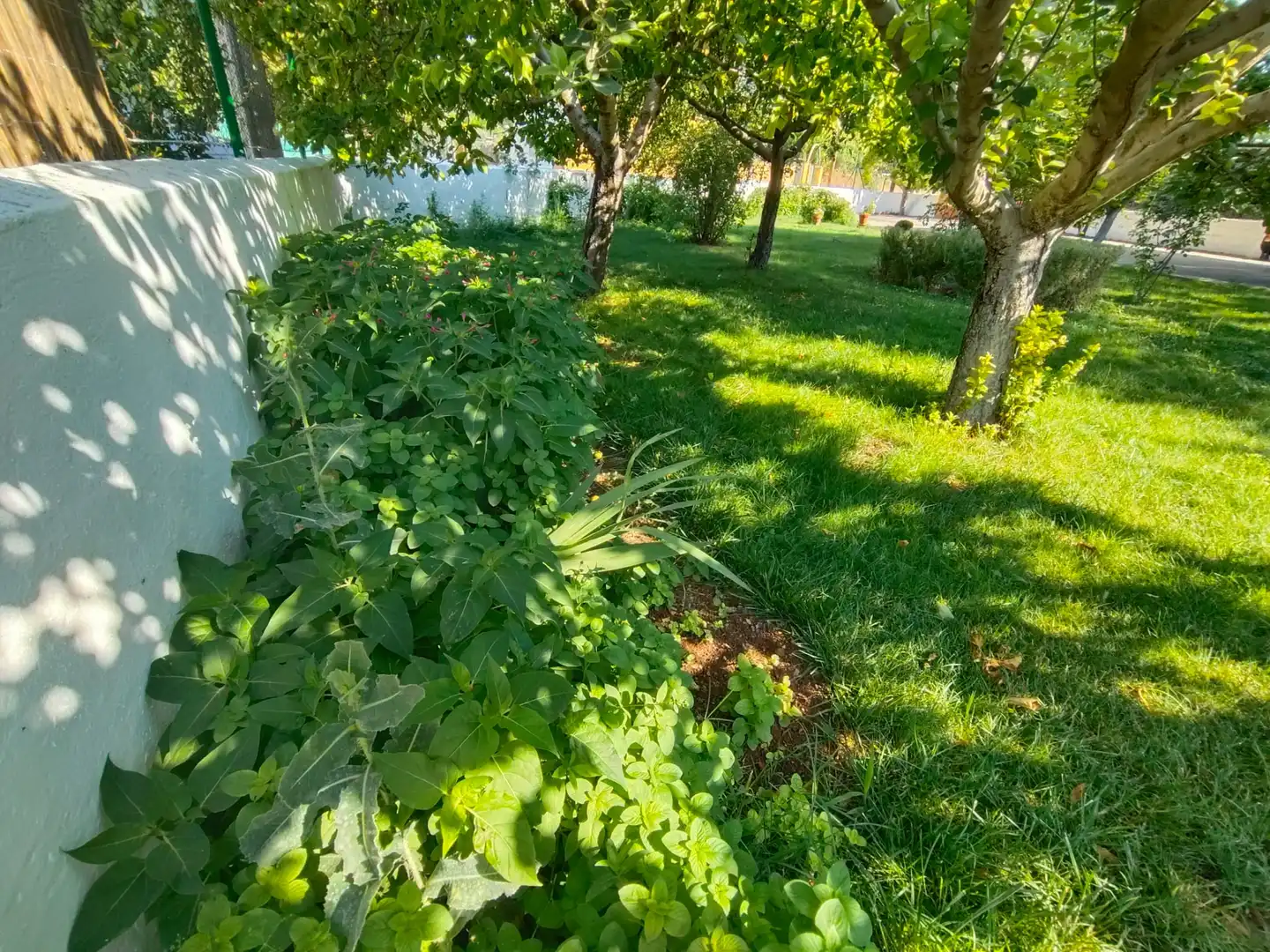 Finca rústica en venta en M-313, Morata de Tajuña