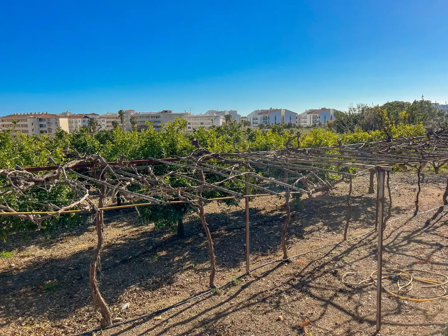 Terreny residencial en venda a POLIGONO 12, imagen 7