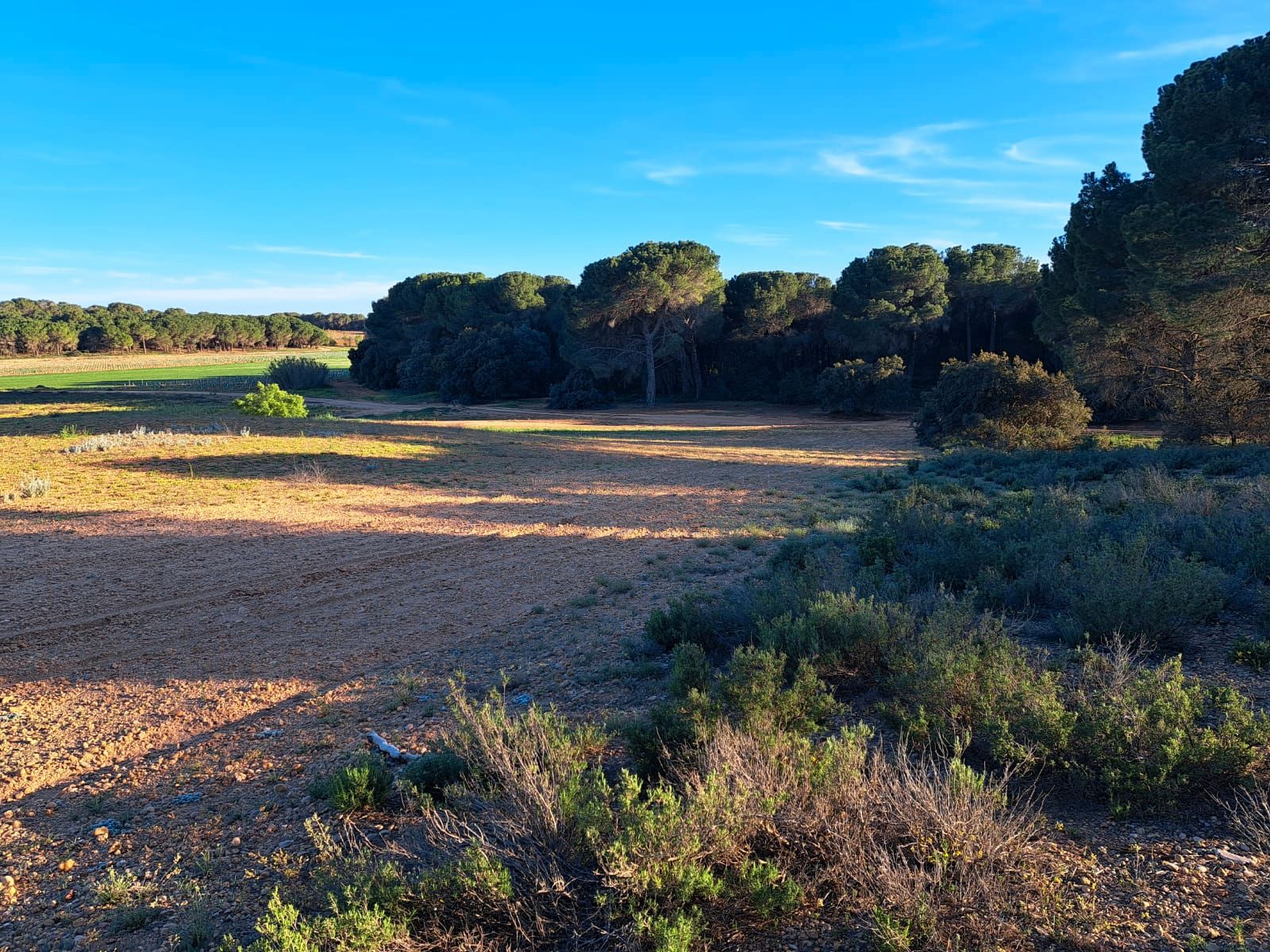 Grundstücke zur Miete in Villagarcía del Llano