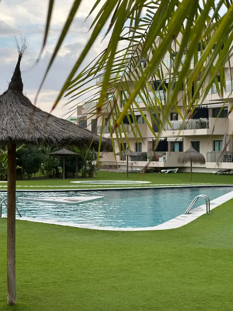 Bungalow amb piscina en venda a Calle NARANJO-ZENIA II, imagen 44