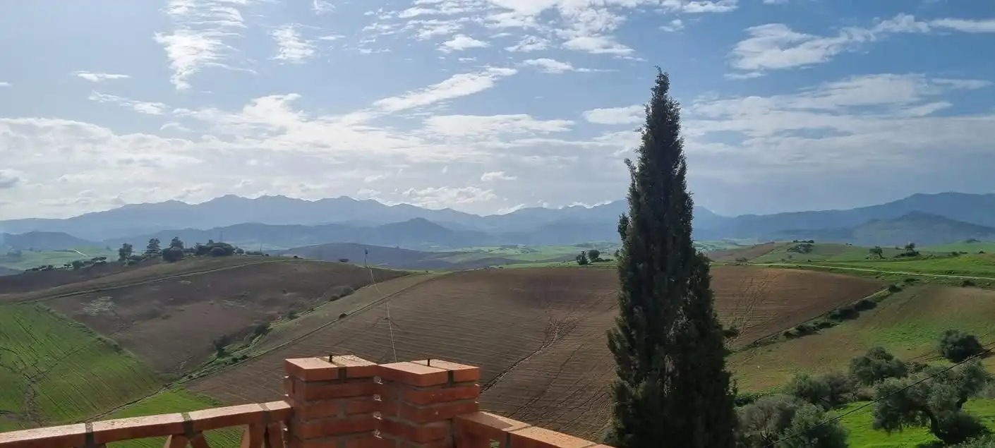 Jardín de Casa o chalet en venta en Casarabonela con Jardín privado, Terraza y Trastero