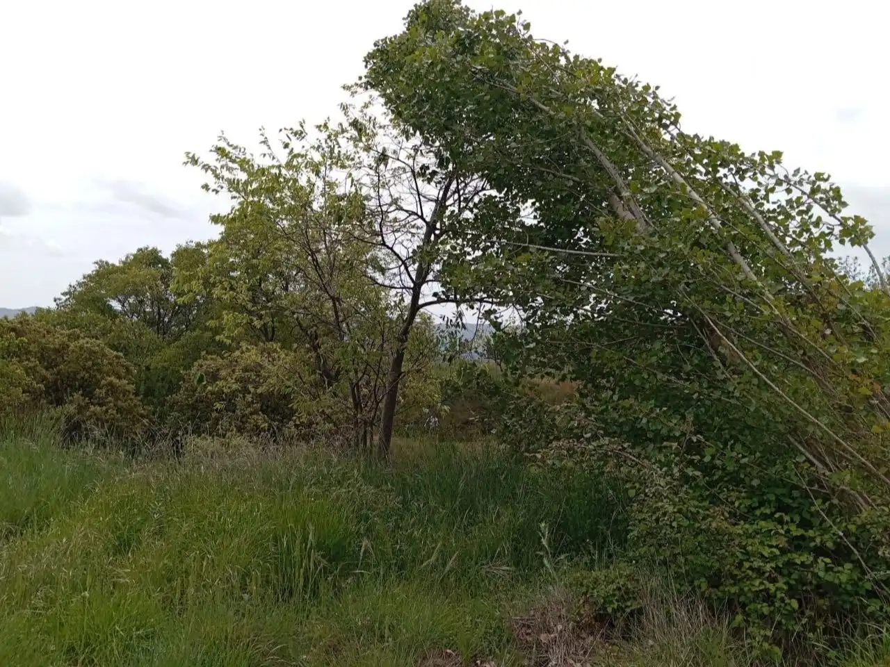 Terreno en venta en Pórtugos