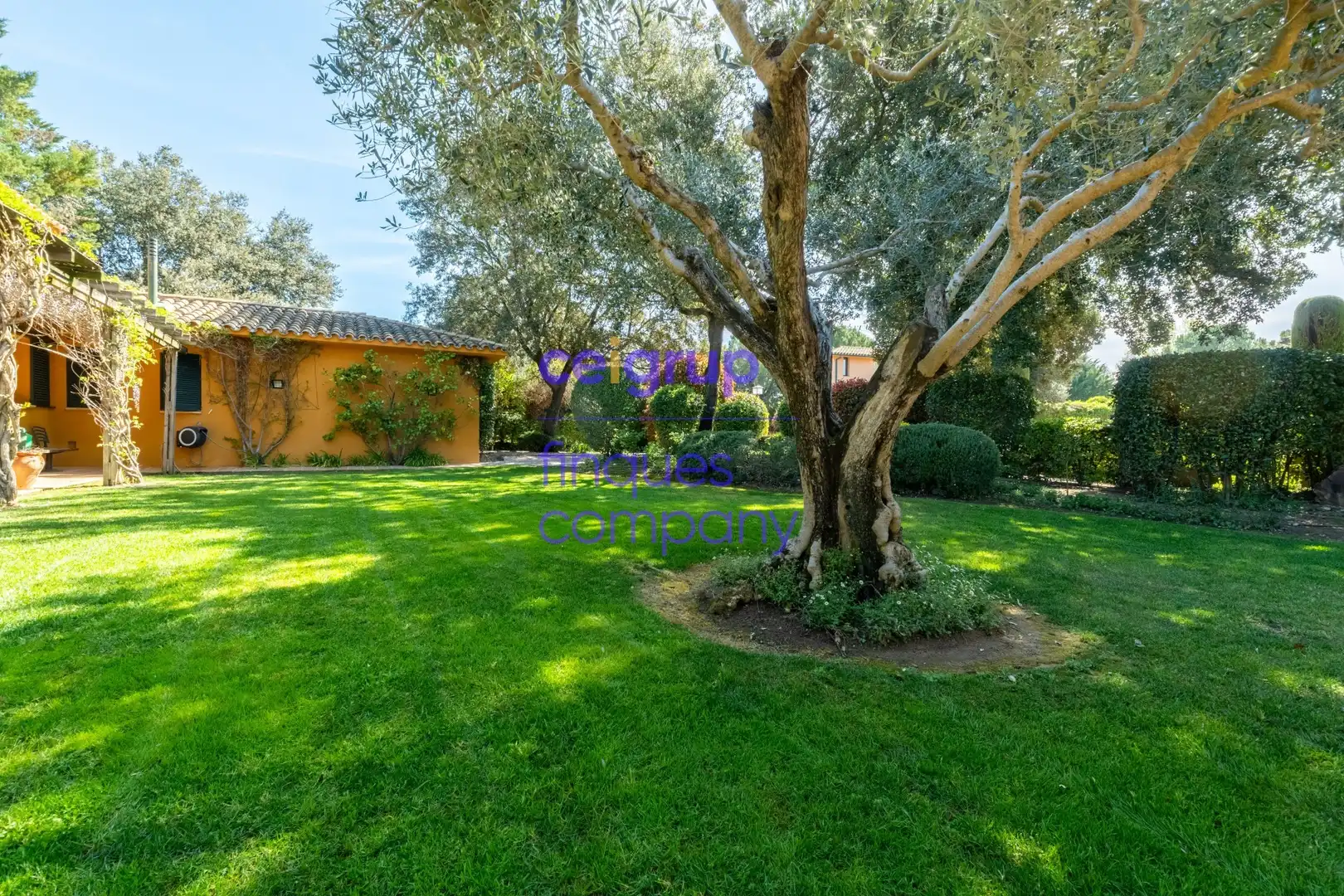 Jardí de Casa o xalet en venda en Navata amb Calefacció, Terrassa i Piscina