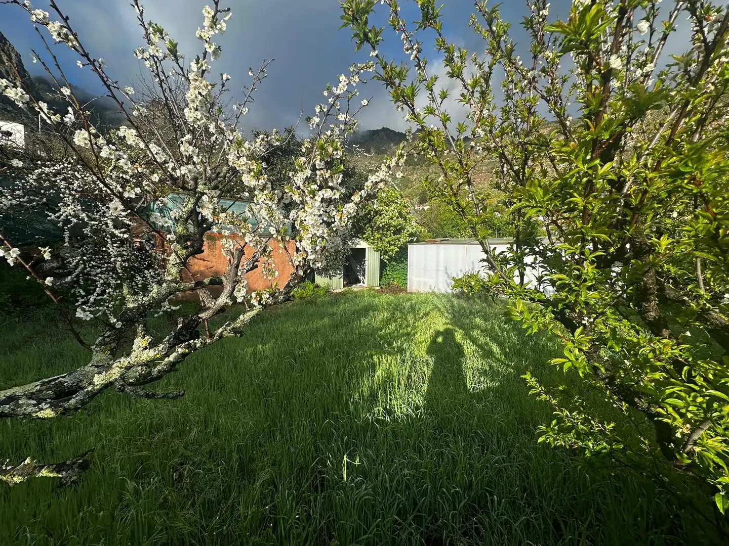 Jardí de Casa o xalet en venda en Valsequillo de Gran Canaria amb Jardí privat, Terrassa i Traster
