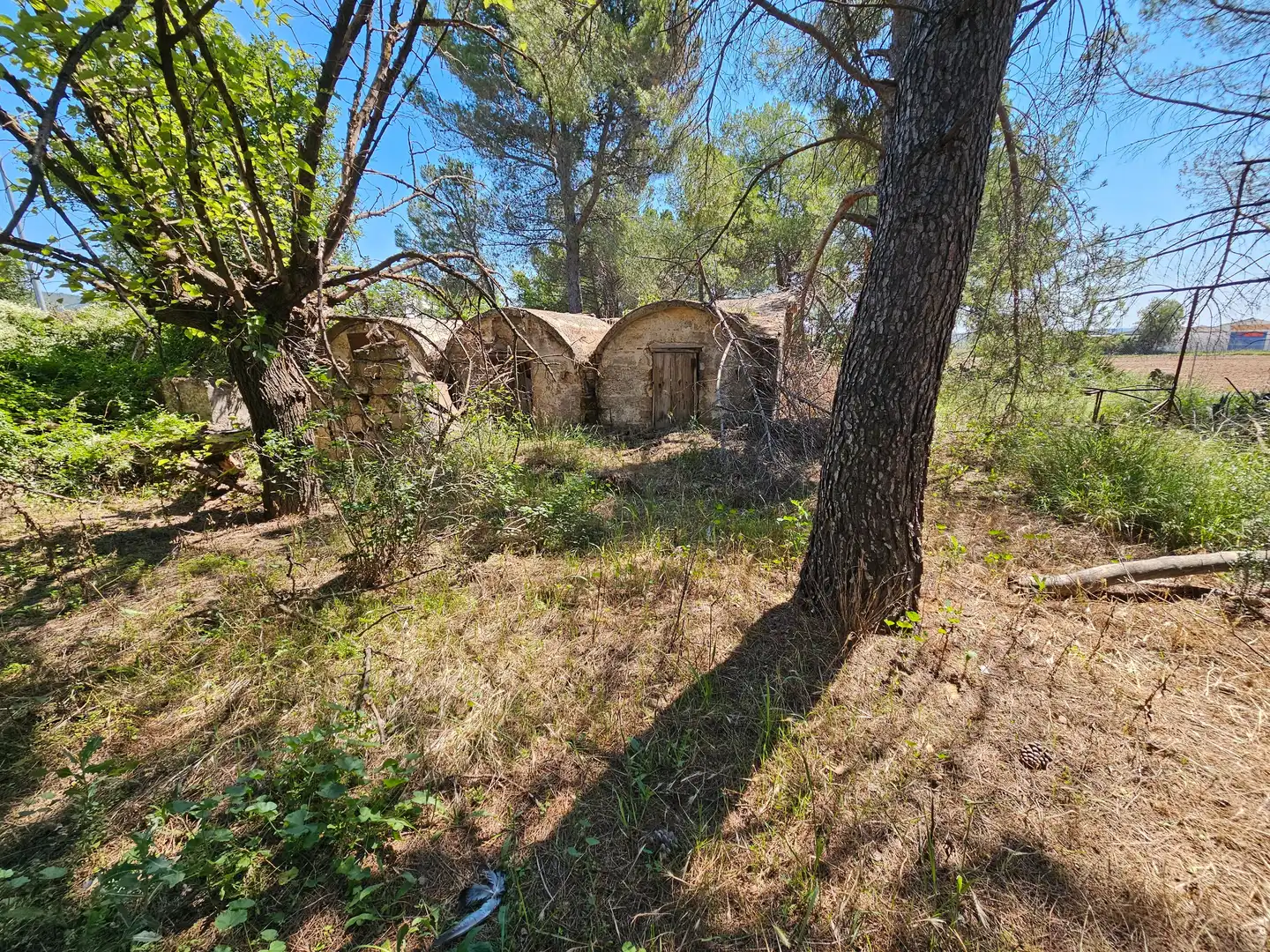 Country homes for sale in Torrelaguna