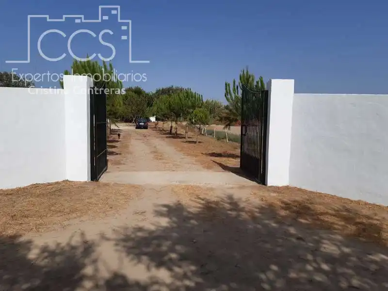 Casa rústica amb jardí en venda a Almonte ciudad, imagen 4