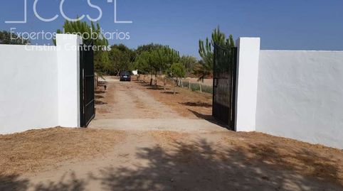 Foto 4 de Finca rústica en venta en Almonte ciudad, Almonte