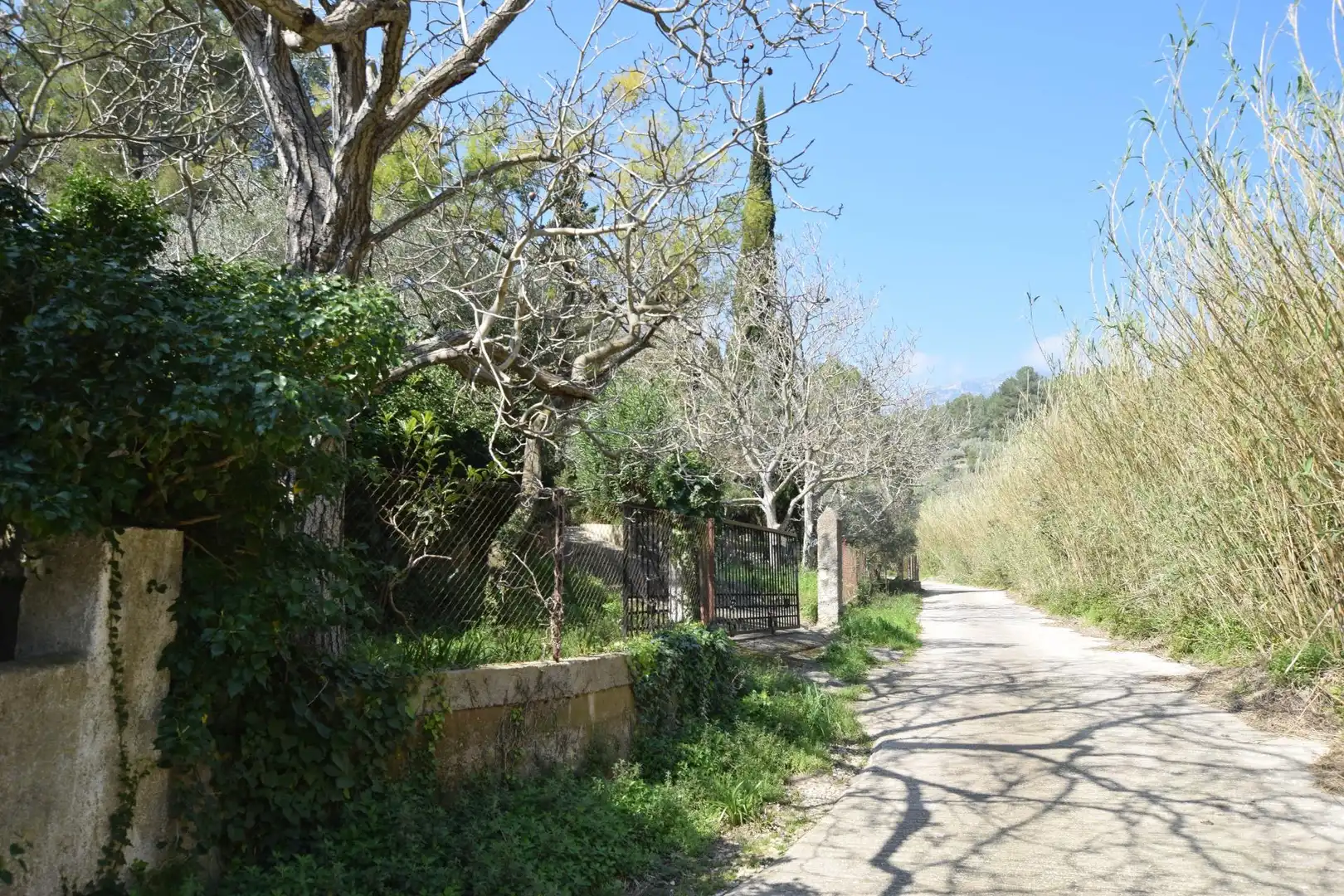 Vista exterior de Casa o xalet en venda en Alfara de Carles amb Terrassa, Traster i Piscina
