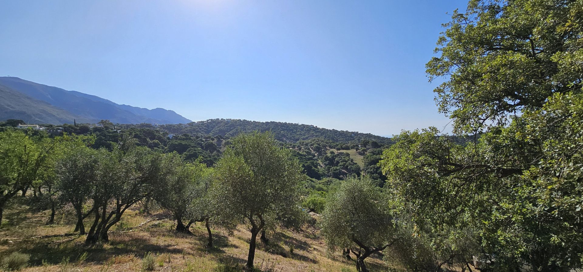 Residential for sale in Casares