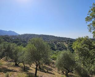 Residencial en venda en Casares