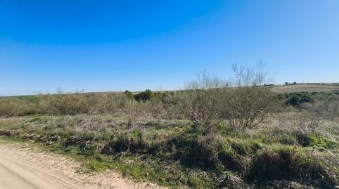 Foto 5 von Grundstücke zum Verkauf in Carretera Carranque, El Viso de San Juan, Toledo