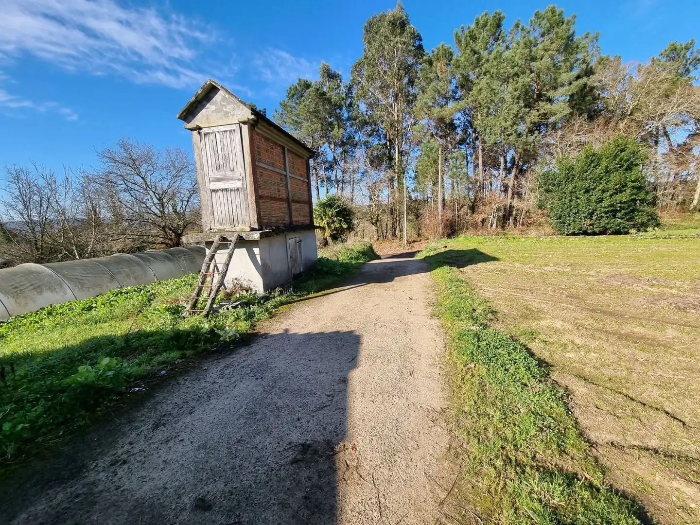 Houses for sale in Teo