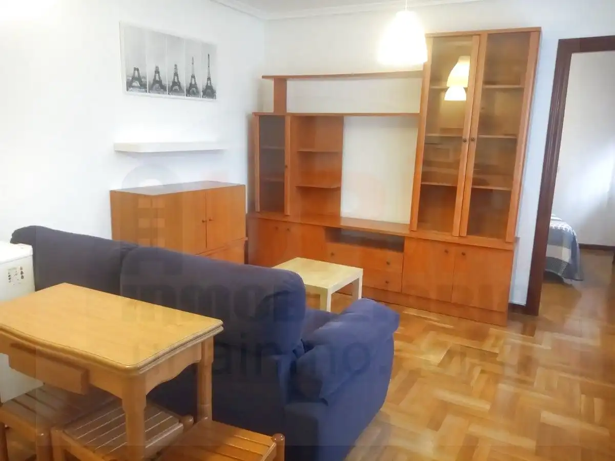 Sala d'estar de Apartament de lloguer en Oviedo  amb Calefacció, Parquet i Moblat