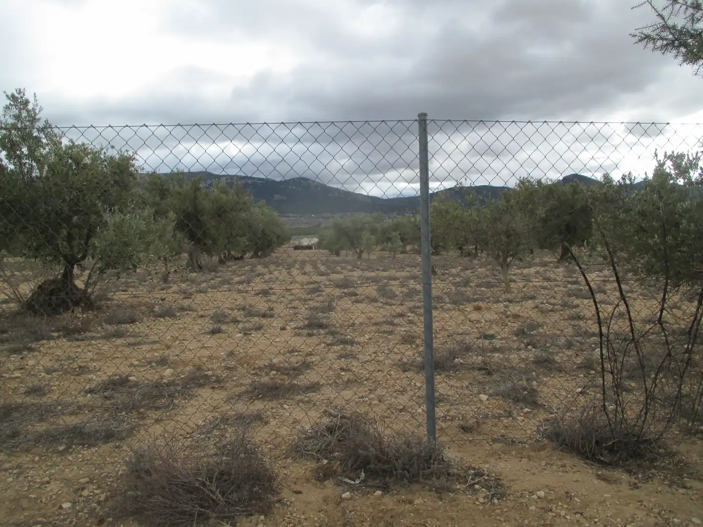 Rural land for sale in Ptda Toconar o Solana, Pol 55, imagen 9