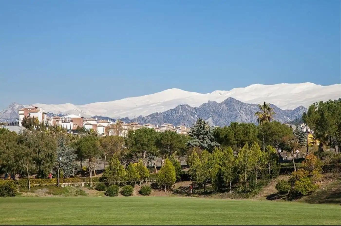 Terreno residencial en venta en Calle Cartujo 31, imagen 11