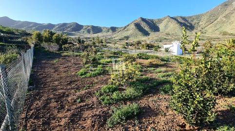 Foto 4 von Residential zum Verkauf in Buenavista, 48, Buenavista del Norte, Santa Cruz de Tenerife