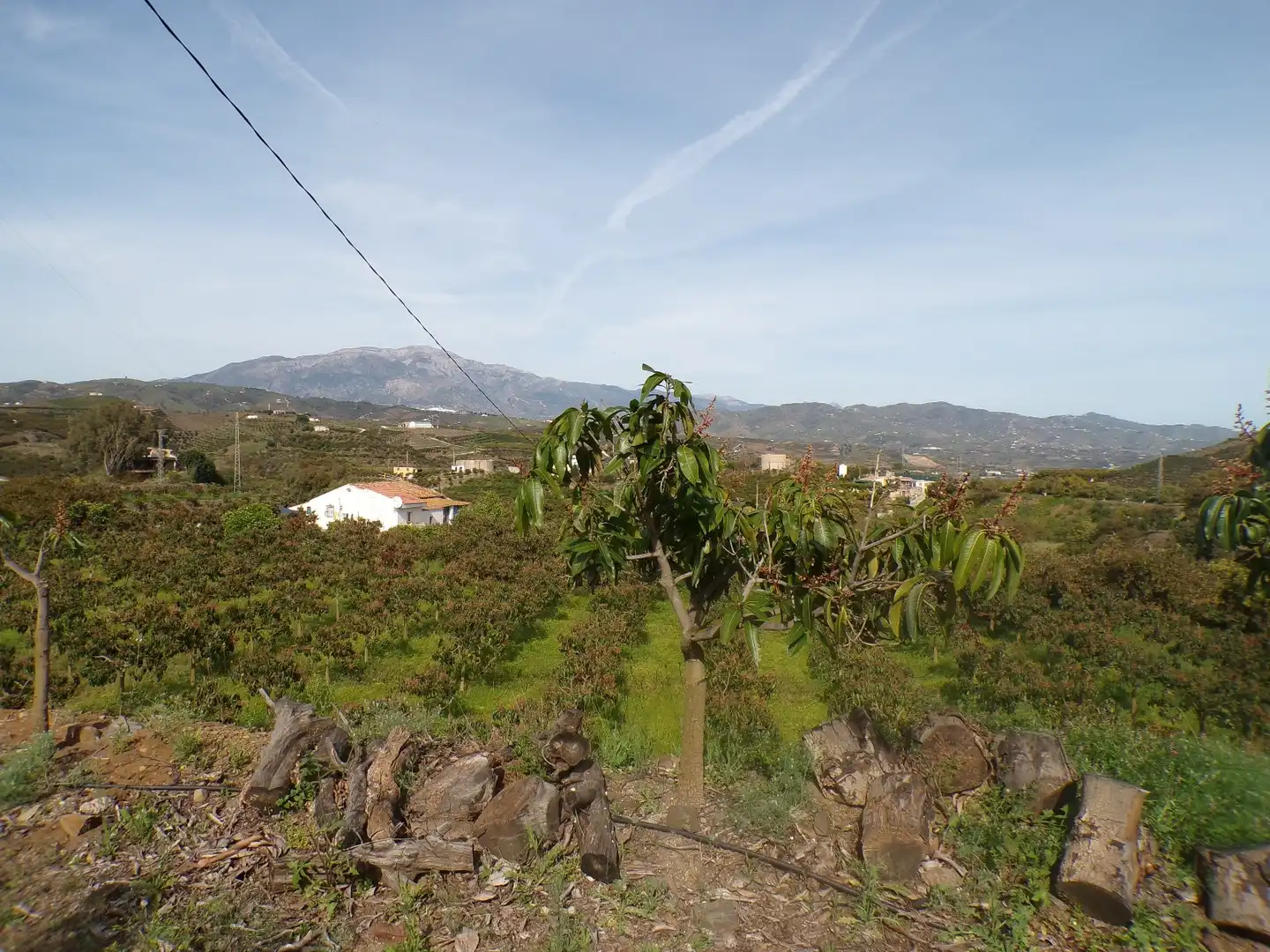 Houses for sale in Almáchar  with Air Conditioner, Private garden and Furnished