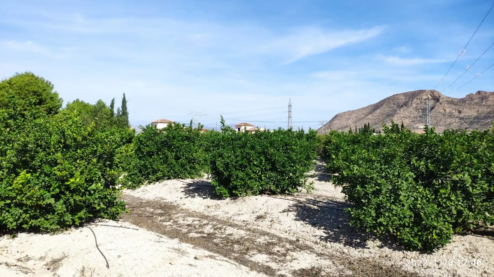 Terreno en venta en Redován
