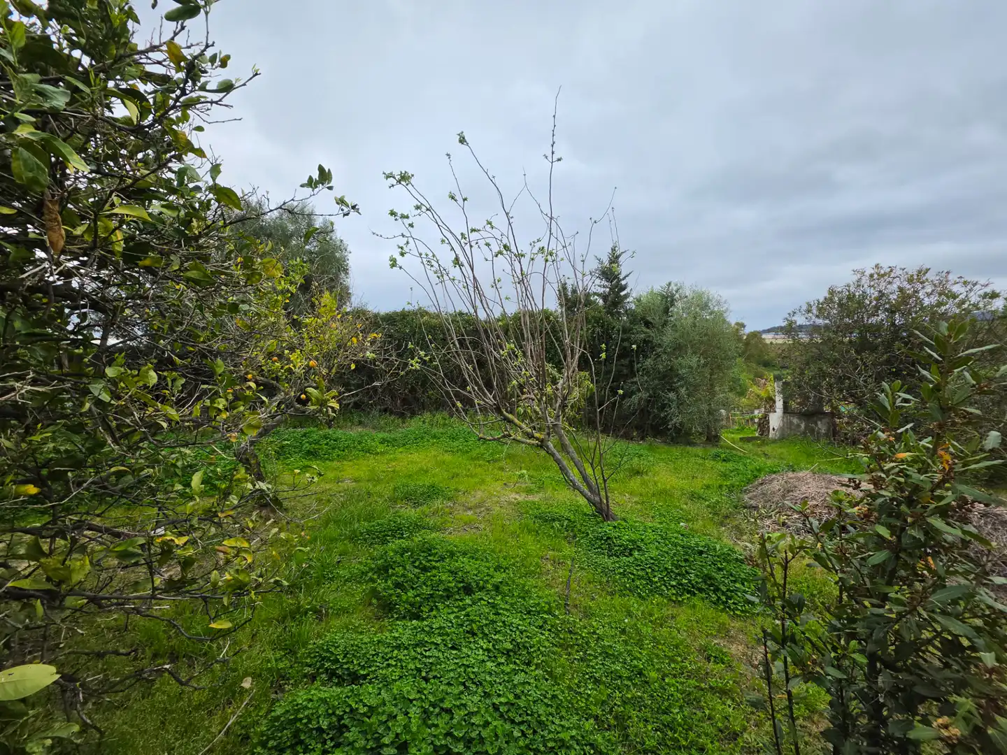 Terreni e lotti in vendita a La Granja - La Colina - Los Pastores, imagen 13