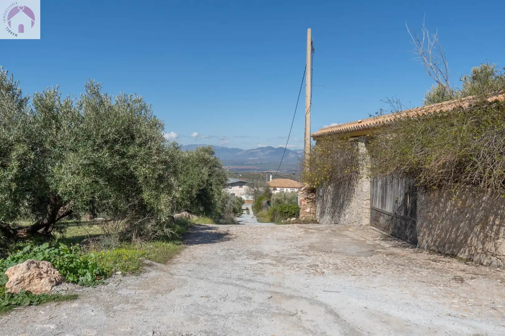 Terreni e lotti in vendita a Cogollos de la Vega, imagen 19