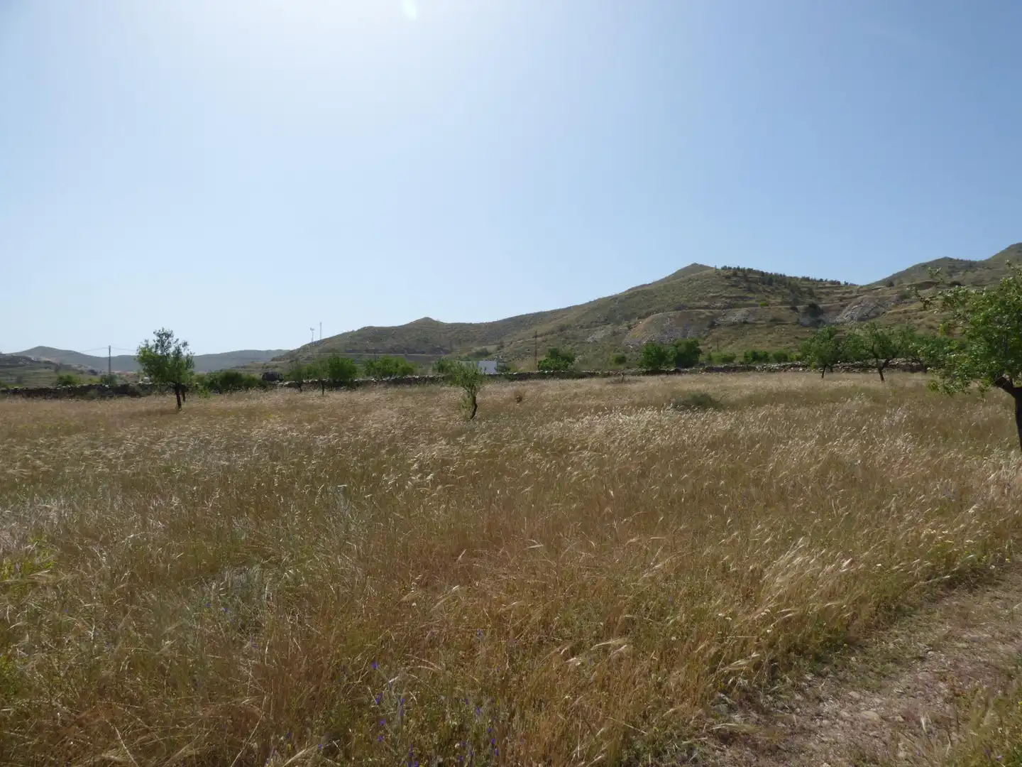 Rustikales Grundstück zum Verkauf in Uleila del Campo, imagen 8