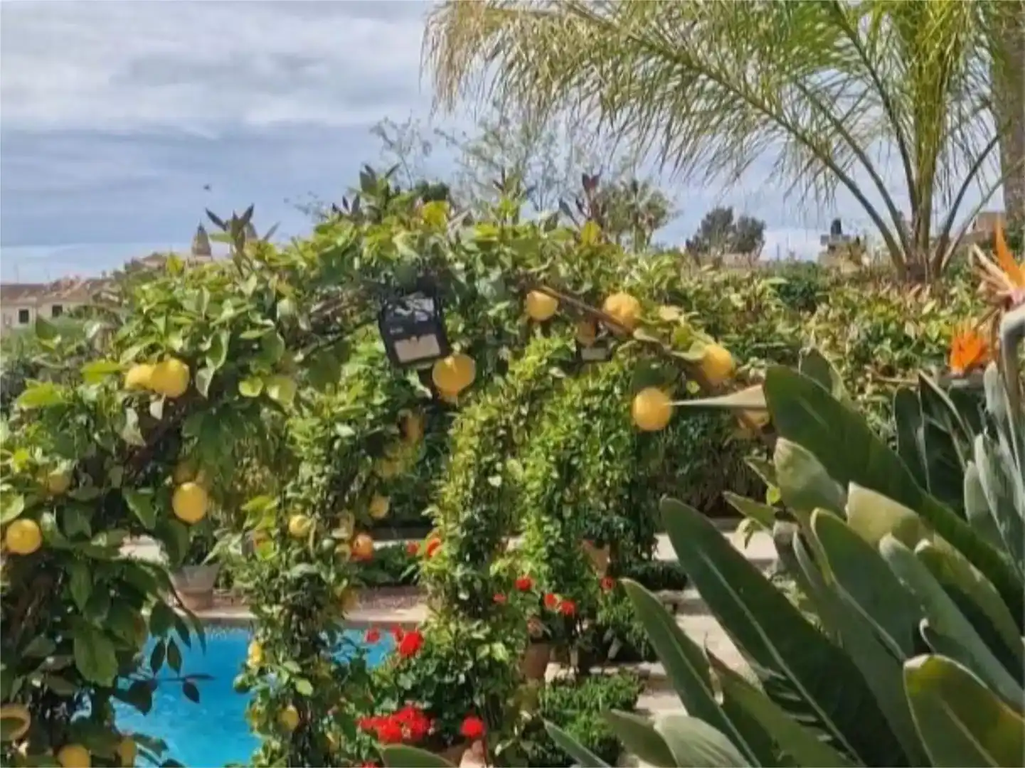 Jardín de Piso en venta en Calvià pueblo