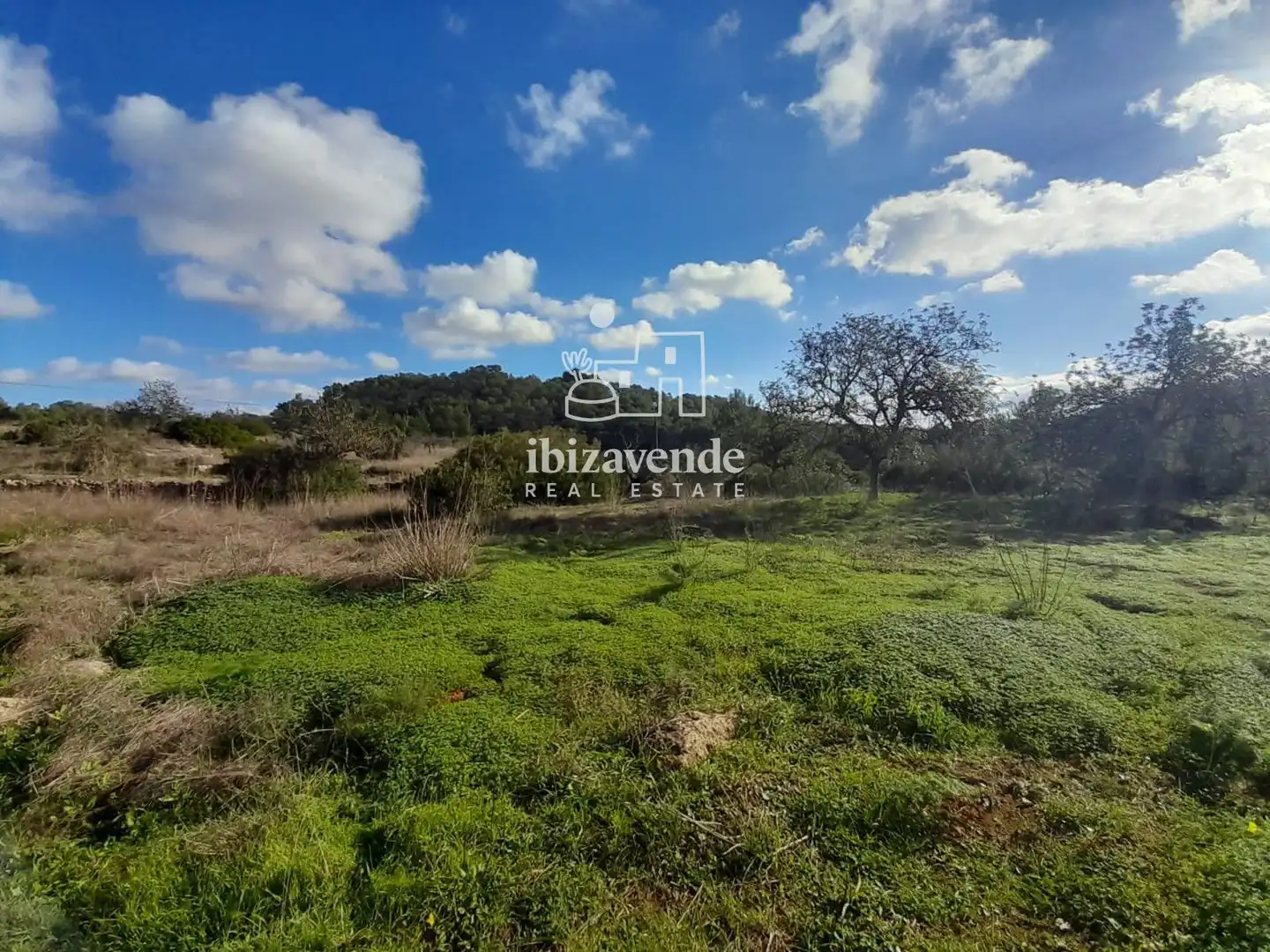 House for sale in Gelabert, imagen 30