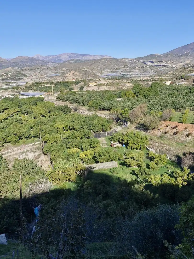 Finca rústica en venda en Motril amb Terrassa i Piscina