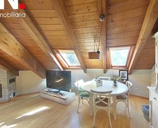 Living room of Attic for sale in El Pont de Suert