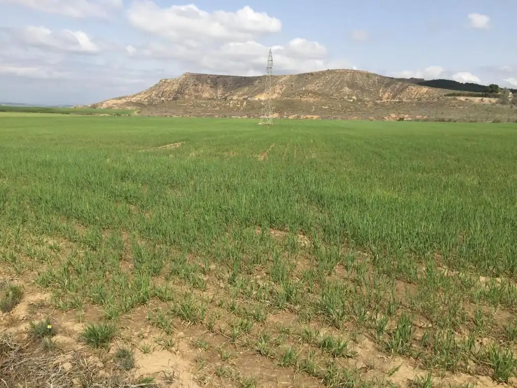 Residential for sale in Torres de la Alameda