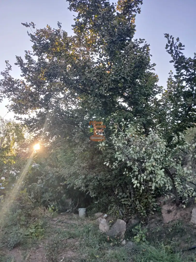 Terreni e lotti in vendita a Calle Gotor, imagen 33