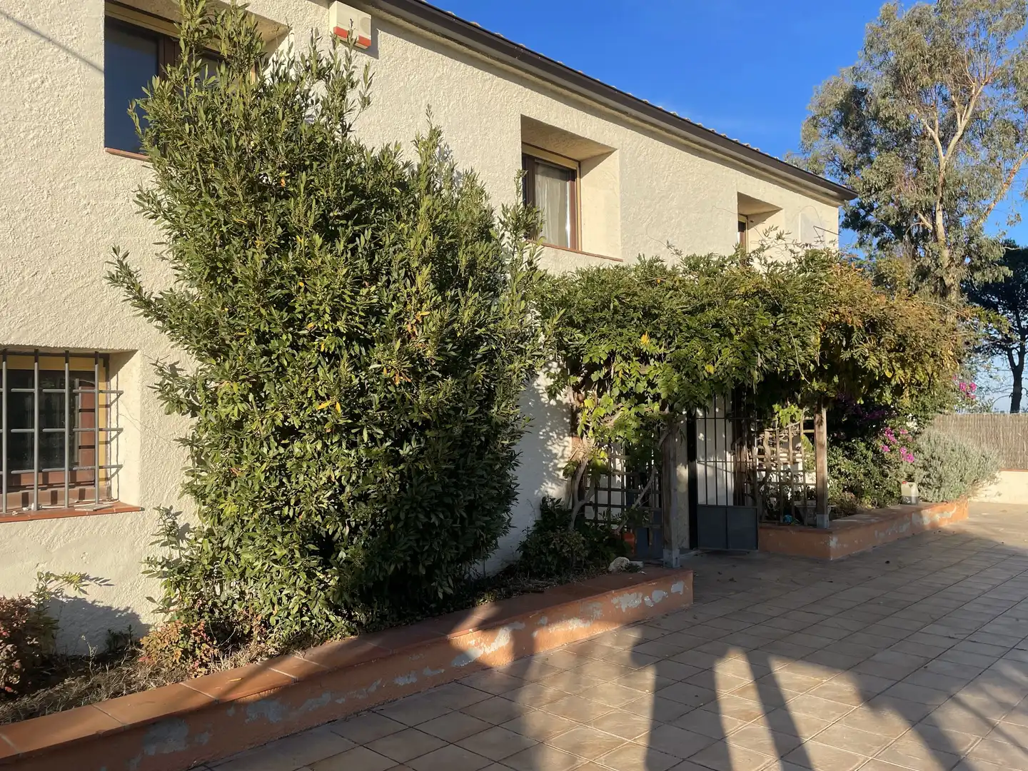 Vista exterior de Finca rústica en venta en Quart con Calefacción, Jardín privado y Parquet